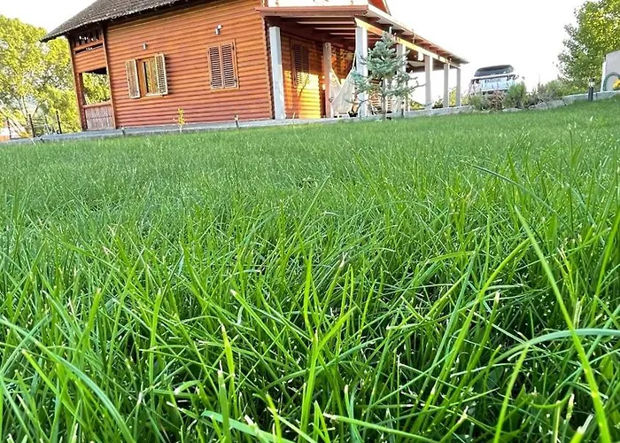 Dağ evi Chale Casa Estrelas Mm *